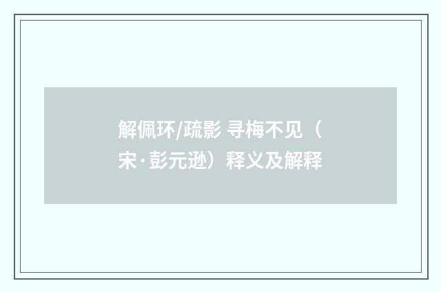 解佩环/疏影 寻梅不见（宋·彭元逊）释义及解释