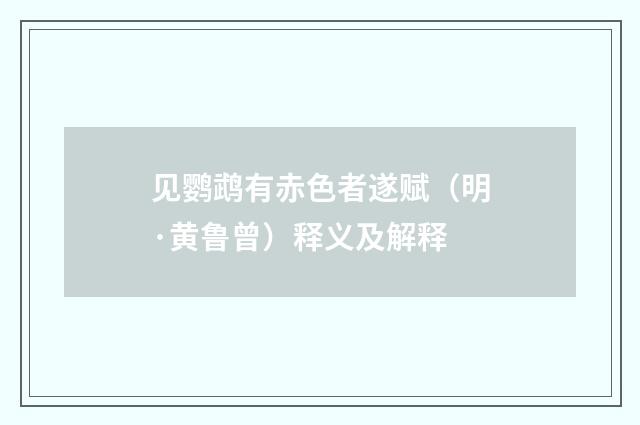 见鹦鹉有赤色者遂赋（明·黄鲁曾）释义及解释