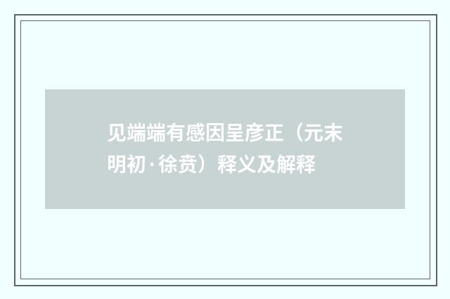 见端端有感因呈彦正（元末明初·徐贲）释义及解释