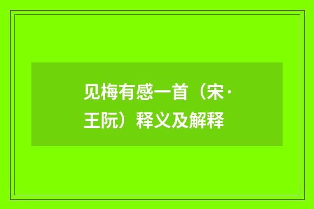 见梅有感一首（宋·王阮）释义及解释
