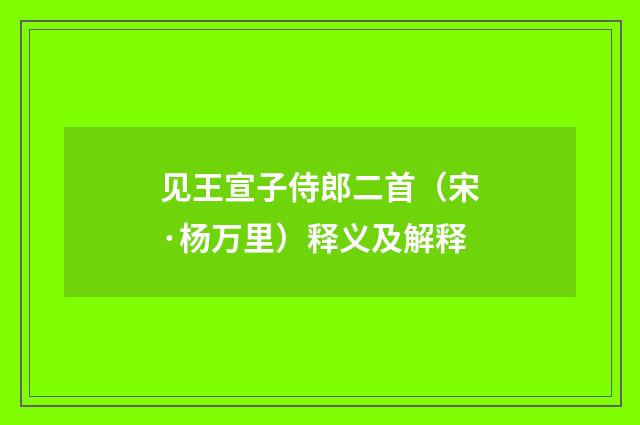 见王宣子侍郎二首（宋·杨万里）释义及解释