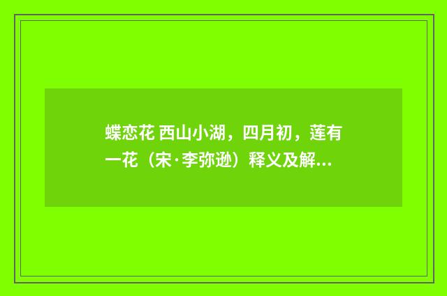 蝶恋花 西山小湖，四月初，莲有一花（宋·李弥逊）释义及解释