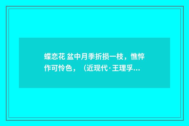 蝶恋花 盆中月季折损一枝，憔悴作可怜色，（近现代·王理孚）释义及解释