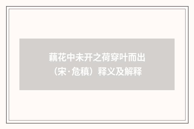 藕花中未开之荷穿叶而出（宋·危稹）释义及解释