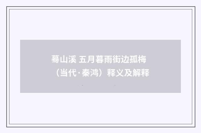 蓦山溪 五月暮雨街边孤梅（当代·秦鸿）释义及解释