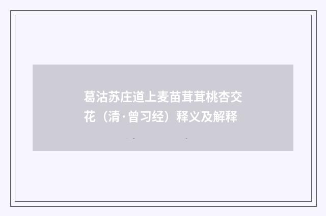 葛沽苏庄道上麦苗茸茸桃杏交花（清·曾习经）释义及解释