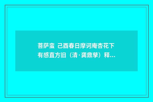 菩萨蛮  己酉春日摩诃庵杏花下有感直方旧（清·龚鼎孳）释义及解释