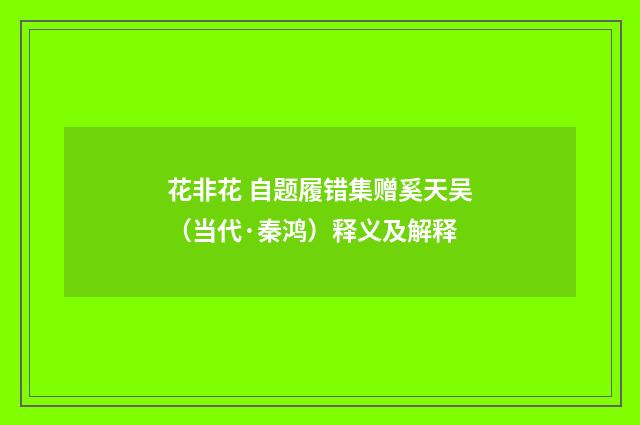 花非花 自题履错集赠奚天吴（当代·秦鸿）释义及解释