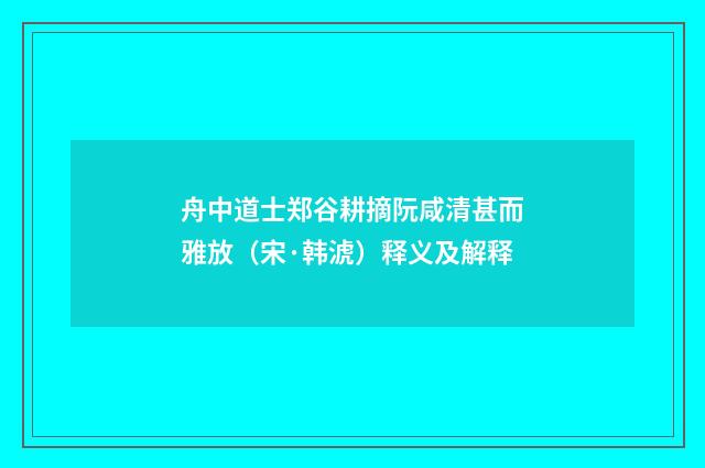 舟中道士郑谷耕摘阮咸清甚而雅放（宋·韩淲）释义及解释