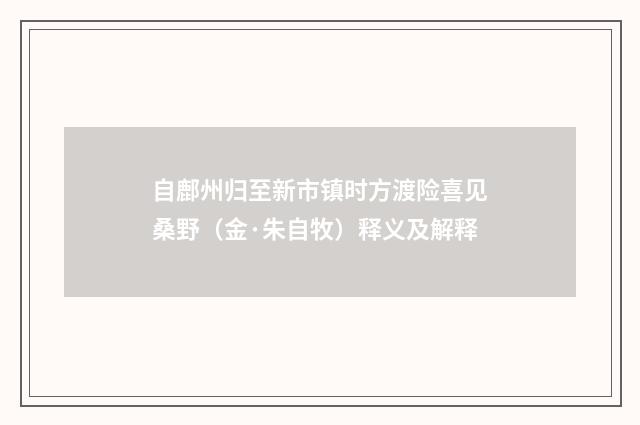 自鄜州归至新市镇时方渡险喜见桑野（金·朱自牧）释义及解释
