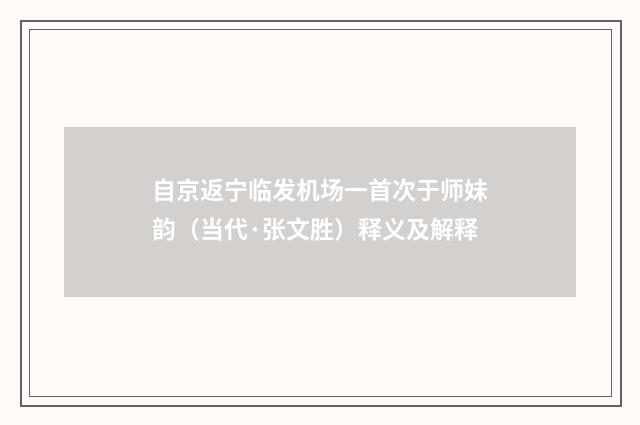 自京返宁临发机场一首次于师妹韵(当代·张文胜)释义及解释