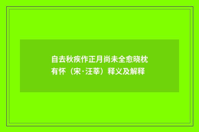 自去秋疾作正月尚未全愈晓枕有怀（宋·汪莘）释义及解释