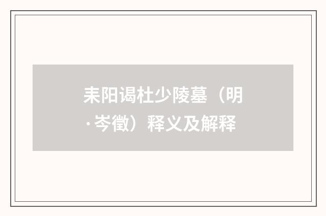 耒阳谒杜少陵墓（明·岑徵）释义及解释