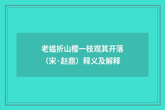 老媪折山樱一枝观其开落（宋·赵鼎）释义及解释