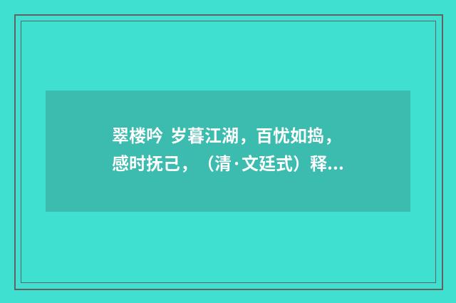 翠楼吟  岁暮江湖，百忧如捣，感时抚己，（清·文廷式）释义及解释
