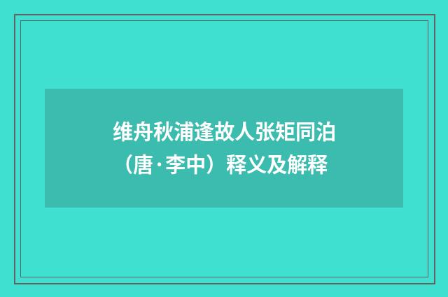 维舟秋浦逢故人张矩同泊（唐·李中）释义及解释