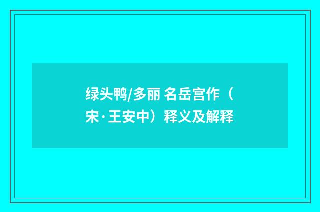 绿头鸭/多丽 名岳宫作（宋·王安中）释义及解释
