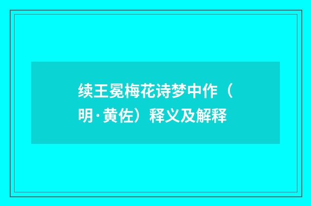 续王冕梅花诗梦中作（明·黄佐）释义及解释