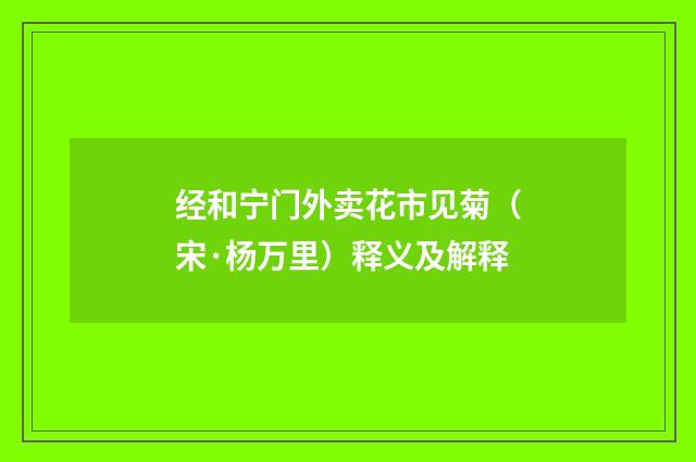 经和宁门外卖花市见菊（宋·杨万里）释义及解释
