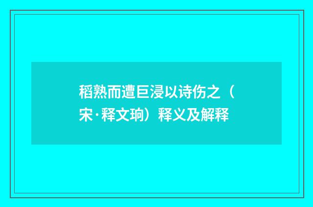 稻熟而遭巨浸以诗伤之（宋·释文珦）释义及解释