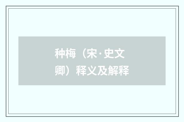 种梅（宋·史文卿）释义及解释