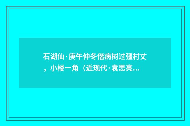 石湖仙·庚午仲冬偕病树过彊村丈，小楼一角（近现代·袁思亮）释义及解释