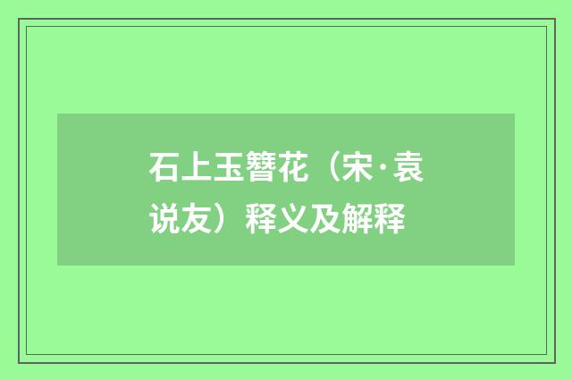 石上玉簪花（宋·袁说友）释义及解释