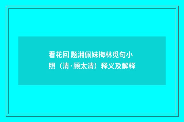 看花回 题湘佩妹梅林觅句小照（清·顾太清）释义及解释