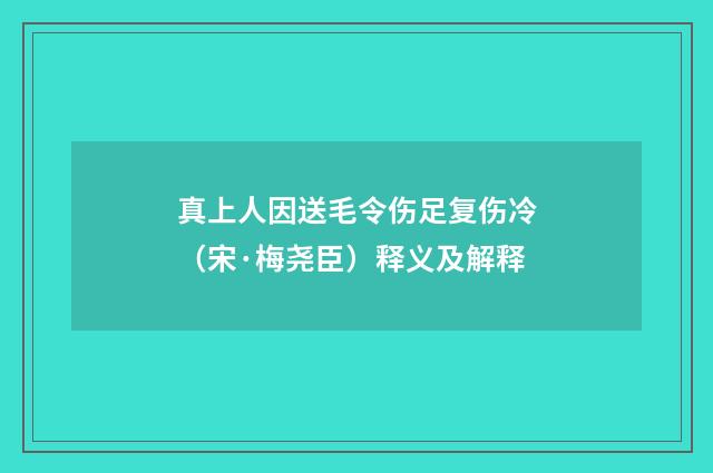 真上人因送毛令伤足复伤冷（宋·梅尧臣）释义及解释