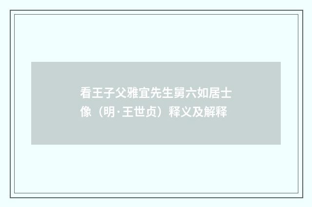 看王子父雅宜先生舅六如居士像（明·王世贞）释义及解释