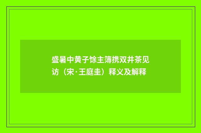 盛暑中黄子馀主簿携双井茶见访（宋·王庭圭）释义及解释