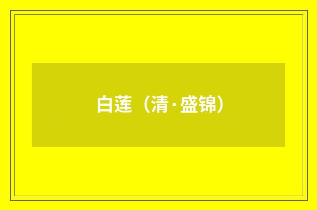 白莲（清·盛锦）