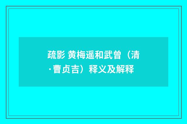 疏影 黄梅遥和武曾（清·曹贞吉）释义及解释