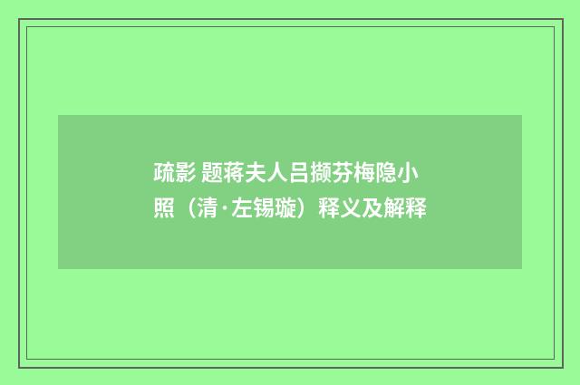 疏影 题蒋夫人吕撷芬梅隐小照（清·左锡璇）释义及解释