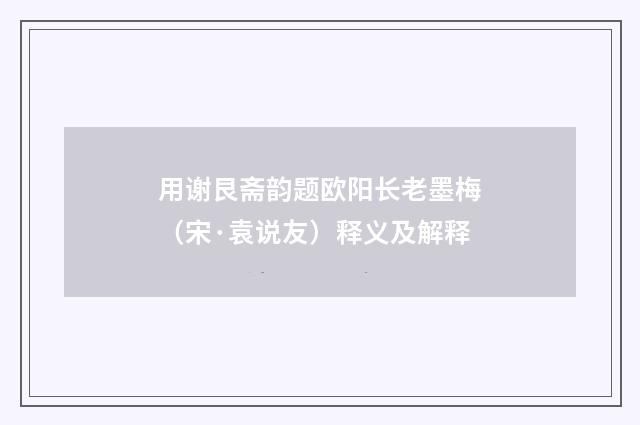 用谢艮斋韵题欧阳长老墨梅（宋·袁说友）释义及解释