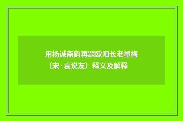 用杨诚斋韵再题欧阳长老墨梅（宋·袁说友）释义及解释