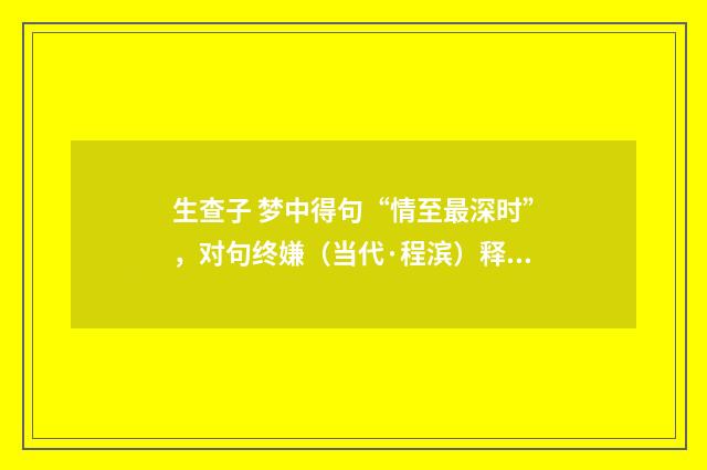 生查子 梦中得句“情至最深时”，对句终嫌（当代·程滨）释义及解释