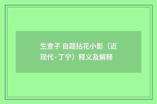 生查子 自题拈花小影（近现代·丁宁）释义及解释
