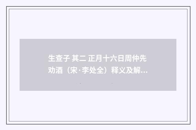 生查子 其二 正月十六日周仲先劝酒（宋·李处全）释义及解释
