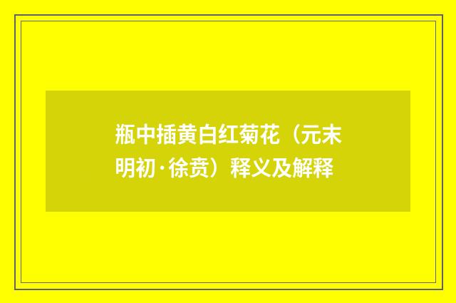 瓶中插黄白红菊花（元末明初·徐贲）释义及解释