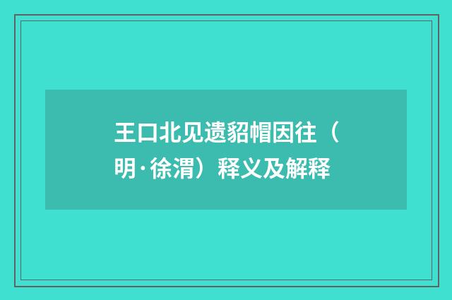 王口北见遗貂帽因往（明·徐渭）释义及解释