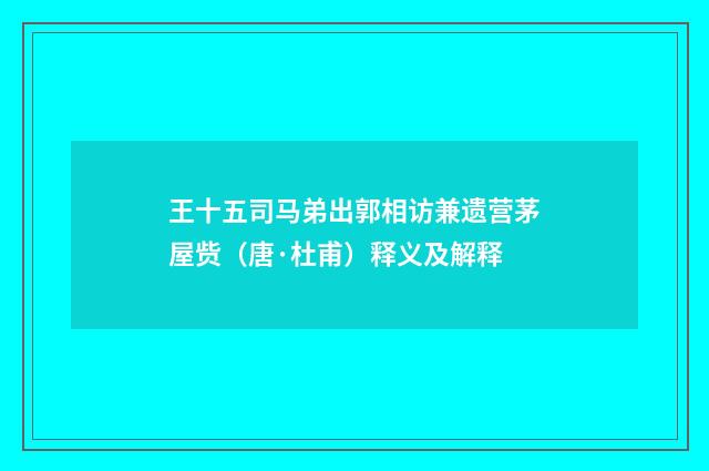 王十五司马弟出郭相访兼遗营茅屋赀(唐·杜甫)释义及解释