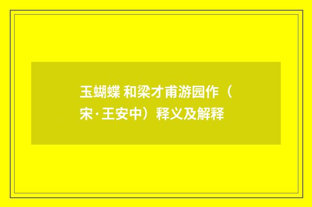 玉蝴蝶 和梁才甫游园作（宋·王安中）释义及解释