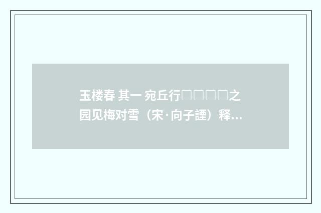 玉楼春 其一 宛丘行□□□□之园见梅对雪（宋·向子諲）释义及解释