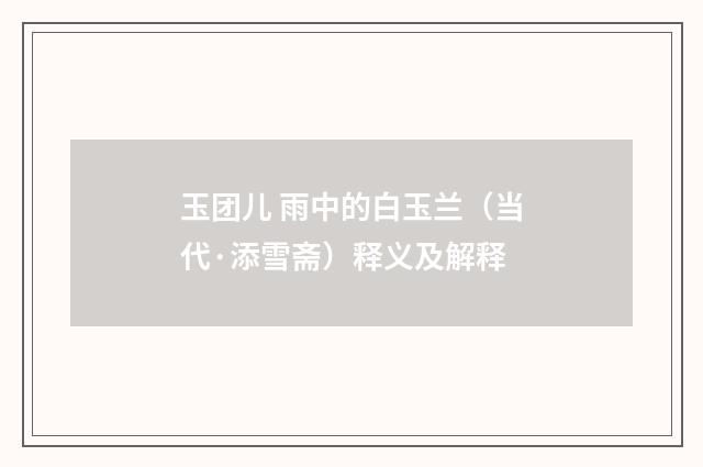 玉团儿 雨中的白玉兰（当代·添雪斋）释义及解释