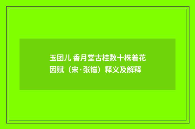 玉团儿 香月堂古桂数十株着花因赋（宋·张镃）释义及解释