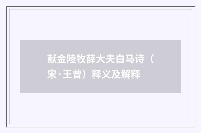 献金陵牧薛大夫白马诗（宋·王曾）释义及解释