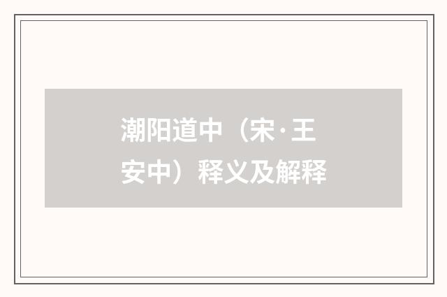 潮阳道中（宋·王安中）释义及解释