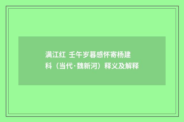 满江红  壬午岁暮感怀寄杨建科（当代·魏新河）释义及解释