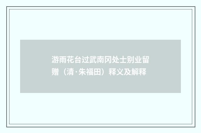 游雨花台过武南冈处士别业留赠（清·朱福田）释义及解释